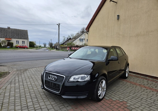 Audi A3 cena 25900 przebieg: 264000, rok produkcji 2010 z Gniezno małe 191